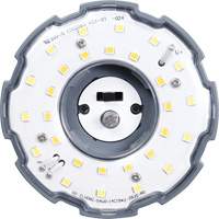 Ampoule HID LEDVance, Maïs, 54 W, 8100 lumens, base EX39 XJ214 | Dickner Inc