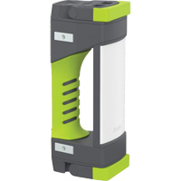 Pro Series Work Light, LED, 1000 Lumens Groupe Belzile Dickner