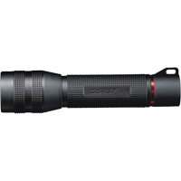GX30 Waterproof Flashlight, AA Batteries Groupe Belzile Dickner