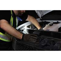 Work Light, Neck Light, Rechargeable, 300 Lumens Groupe Belzile Dickner