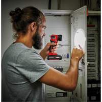 18V Cordless LED Work Light (Tool Only), LED, 280 Lumens, Rechargeable Battery Groupe Belzile Dickner