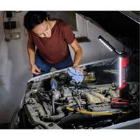 18V Cordless LED Work Light (Tool Only), LED, 1000 Lumens Groupe Belzile Dickner