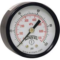 Manomètre économique,  2", 0 - 160 psi, Fixation arrière, Analogique YB870 | Dickner Inc